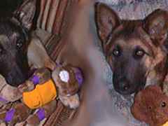 7mostoys