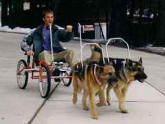 CartRacing