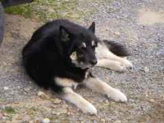 cubby2006