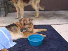 DSCN0077