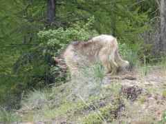 DSCN0098