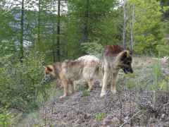 DSCN0103