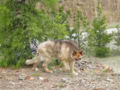 DSCN0104