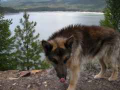 DSCN0105