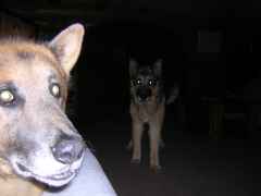 DSCN0297