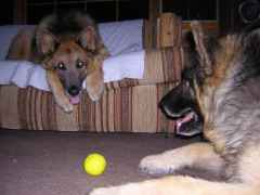 DSCN0307