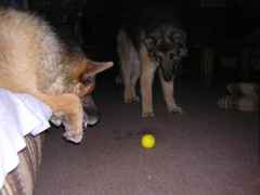 DSCN0309