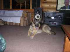 DSCN0320
