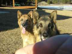 DSCN0326