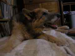 DSCN0528
