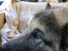 DSCN0539