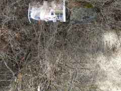 DSCN0546