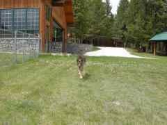 DSCN0553