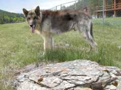DSCN0558
