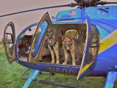 Flyboys