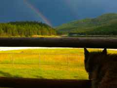 MayDay Rainbow