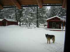 maydaysnow
