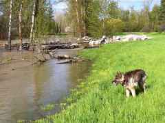 OverlookingFlooding