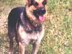Ranger2